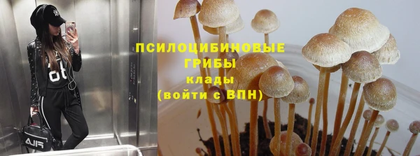 дживик Беломорск